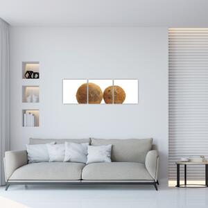 Kokosový orech, obraz (Obraz 90x30cm)