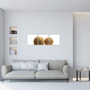 Kokosový orech, obraz (Obraz 90x30cm)