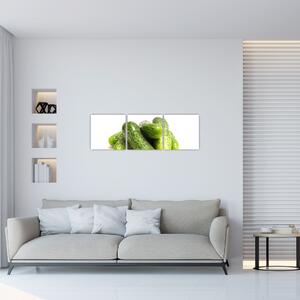 Kyslé uhorky, obraz (Obraz 90x30cm)