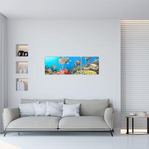 Podmorský svet, obraz (Obraz 90x30cm)