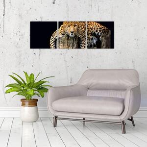 Leopard, obraz (Obraz 90x30cm)