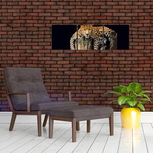 Leopard, obraz (Obraz 90x30cm)