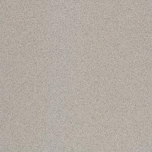 Dlažba Rako Taurus Granit sivá 20x20 cm mat TAA25076.1