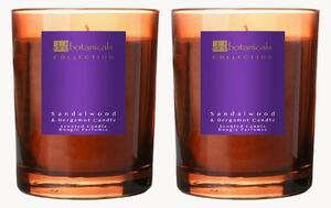 Vonné sviečky The Sandalwood & Bergamot Harmony, 2 ks