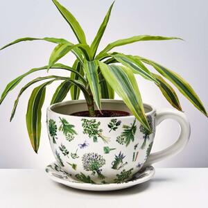 PLANT A CUP Kvetináč