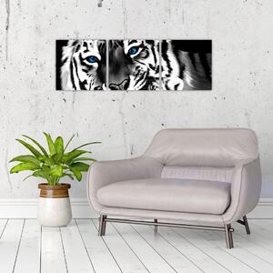 Tiger s mláďaťom, obraz (Obraz 90x30cm)