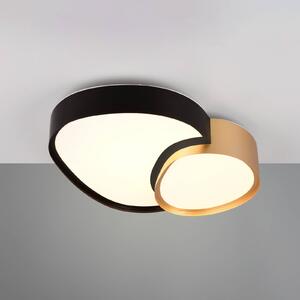 Stropné svietidlo LED Rise, čierno-zlaté, 43 x 36 cm, CCT, stmievateľné