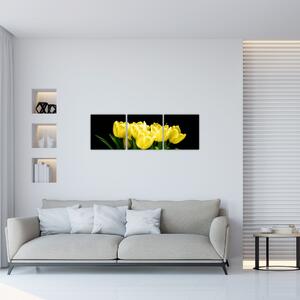 Tulipány - obraz (Obraz 90x30cm)