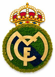 Machové logo - Real Madrid Veľkosť: 67 x 48cm