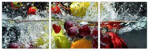 Fotka ovocie - obraz (Obraz 90x30cm)