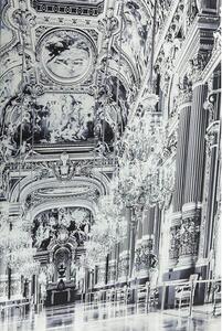 Versailles obraz sklenený čiernobiely