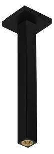 Hansgrohe Príslušenstvo - Sprchové rameno stropné, 31 cm, matná čierna 24339670