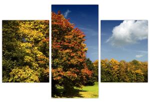 Jesenná krajina, obraz (Obraz 90x60cm)