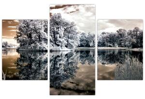 Obraz jazera (Obraz 90x60cm)
