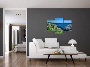 Obraz prímorského útesu (Obraz 90x60cm)
