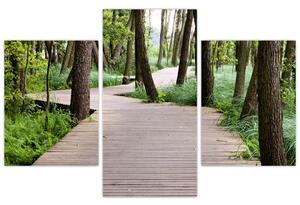 Cesta v lese - obraz (Obraz 90x60cm)