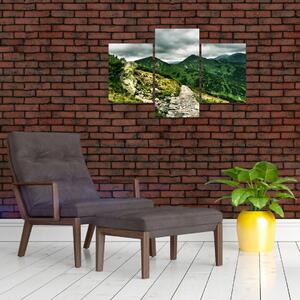 Horská cesta - obraz na stenu (Obraz 90x60cm)