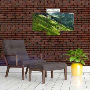 Pohorie hôr - obraz na stenu (Obraz 90x60cm)