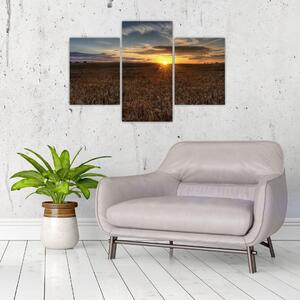 Západ slnka na poli - obraz na stenu (Obraz 90x60cm)