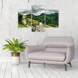 Horská cesta - obraz na stenu (Obraz 90x60cm)