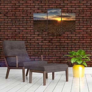 Západ slnka na poli - obraz na stenu (Obraz 90x60cm)