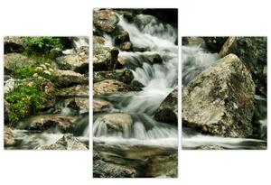 Horský vodopád - obraz (Obraz 90x60cm)