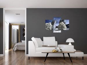 Zimná krajina - obraz do bytu (Obraz 90x60cm)