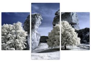 Zimná krajina - obraz do bytu (Obraz 90x60cm)