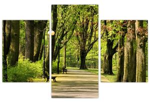 Cesta v parku - obraz (Obraz 90x60cm)