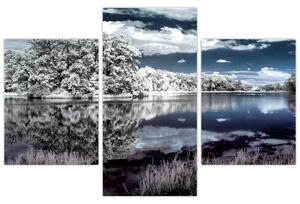 Zimná krajina - obraz (Obraz 90x60cm)