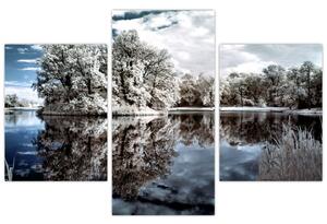 Zimná krajina - obrazy (Obraz 90x60cm)