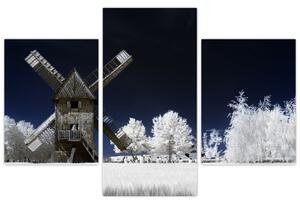 Veterný mlyn v zimnej krajine - obraz (Obraz 90x60cm)