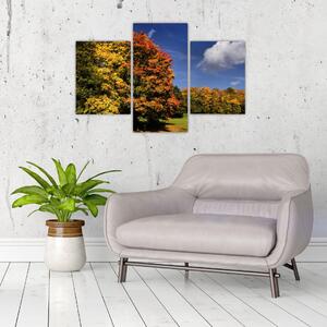 Jesenné stromy - moderný obraz (Obraz 90x60cm)
