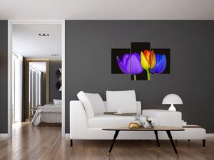 Obraz tulipánov (Obraz 90x60cm)