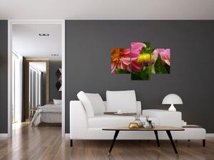 Obraz kvetu rastliny (Obraz 90x60cm)