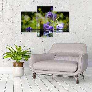 Modrá kvetina - obraz (Obraz 90x60cm)