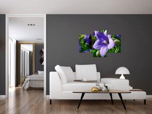 Kvety - obraz (Obraz 90x60cm)