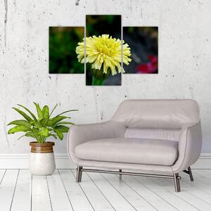 Obrazy kvetiny (Obraz 90x60cm)