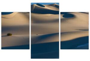 Púšť - obraz (Obraz 90x60cm)