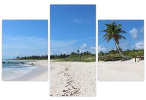 Exotická pláž - obraz (Obraz 90x60cm)