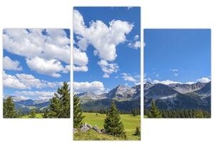 Fotka hôr - obraz (Obraz 90x60cm)