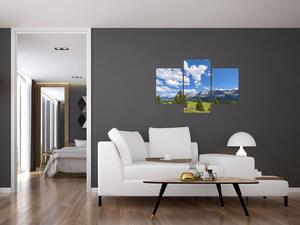 Fotka hôr - obraz (Obraz 90x60cm)