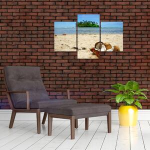 Pláž - obraz (Obraz 90x60cm)