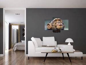 Opica - obrazy (Obraz 90x60cm)