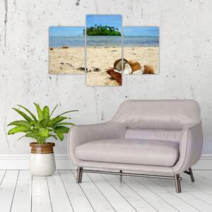 Pláž - obraz (Obraz 90x60cm)