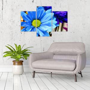 Modrá chryzantéma - obrazy (Obraz 90x60cm)