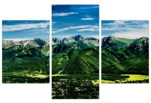 Obraz - panoráma hôr (Obraz 90x60cm)