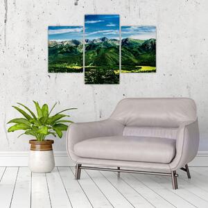 Obraz - panoráma hôr (Obraz 90x60cm)