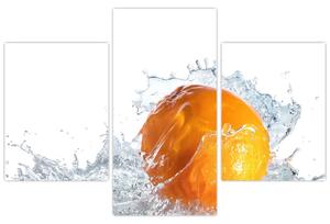 Obraz pomaranče (Obraz 90x60cm)