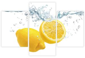 Citron- Obraz (Obraz 90x60cm)